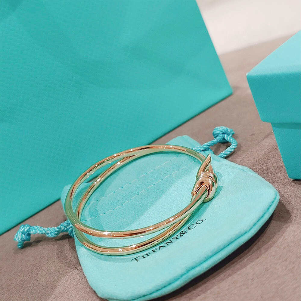 T*f*ny Knot Double Row Hinged Bangle