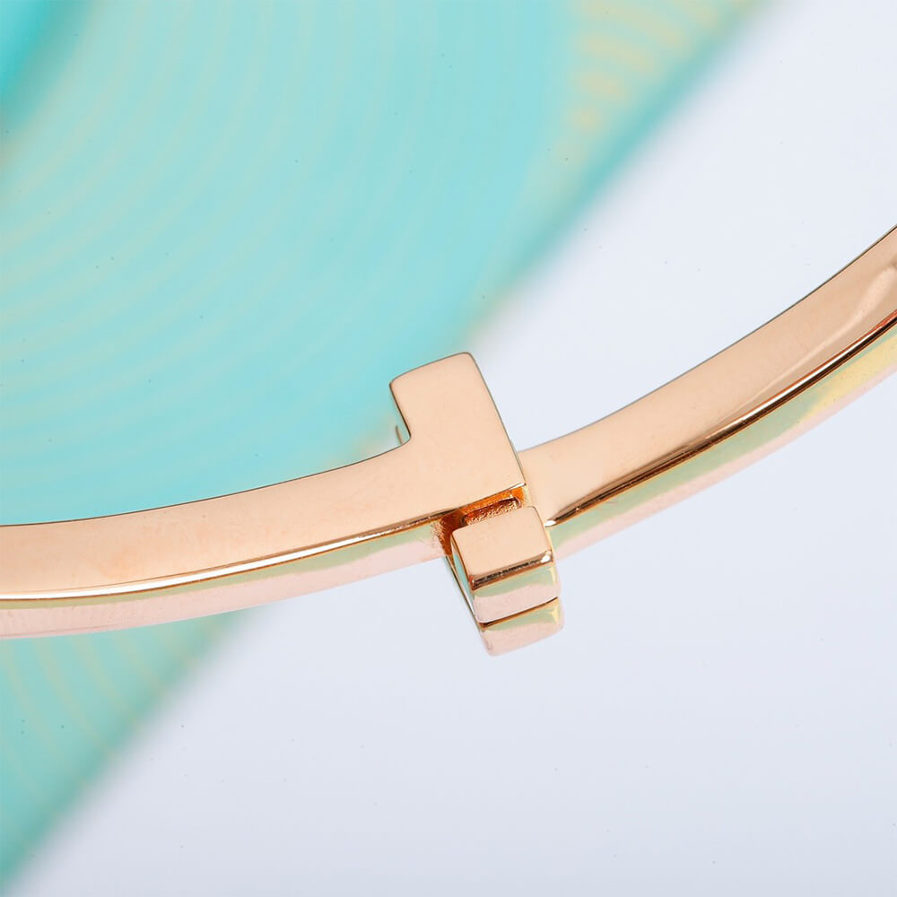 T*f*ny T T1 Narrow Hinged Bangle