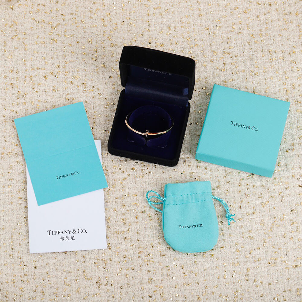 T*f*ny T T1 Narrow Hinged Bangle
