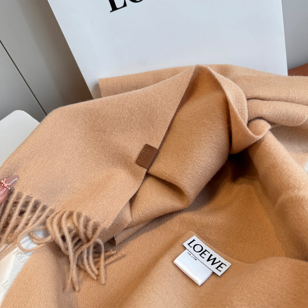 L0ew* Scarf in cashmere