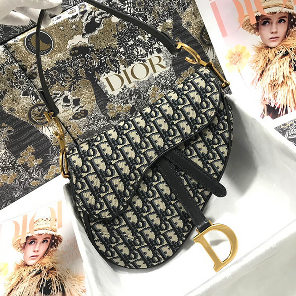 D10r SADDLE BAG