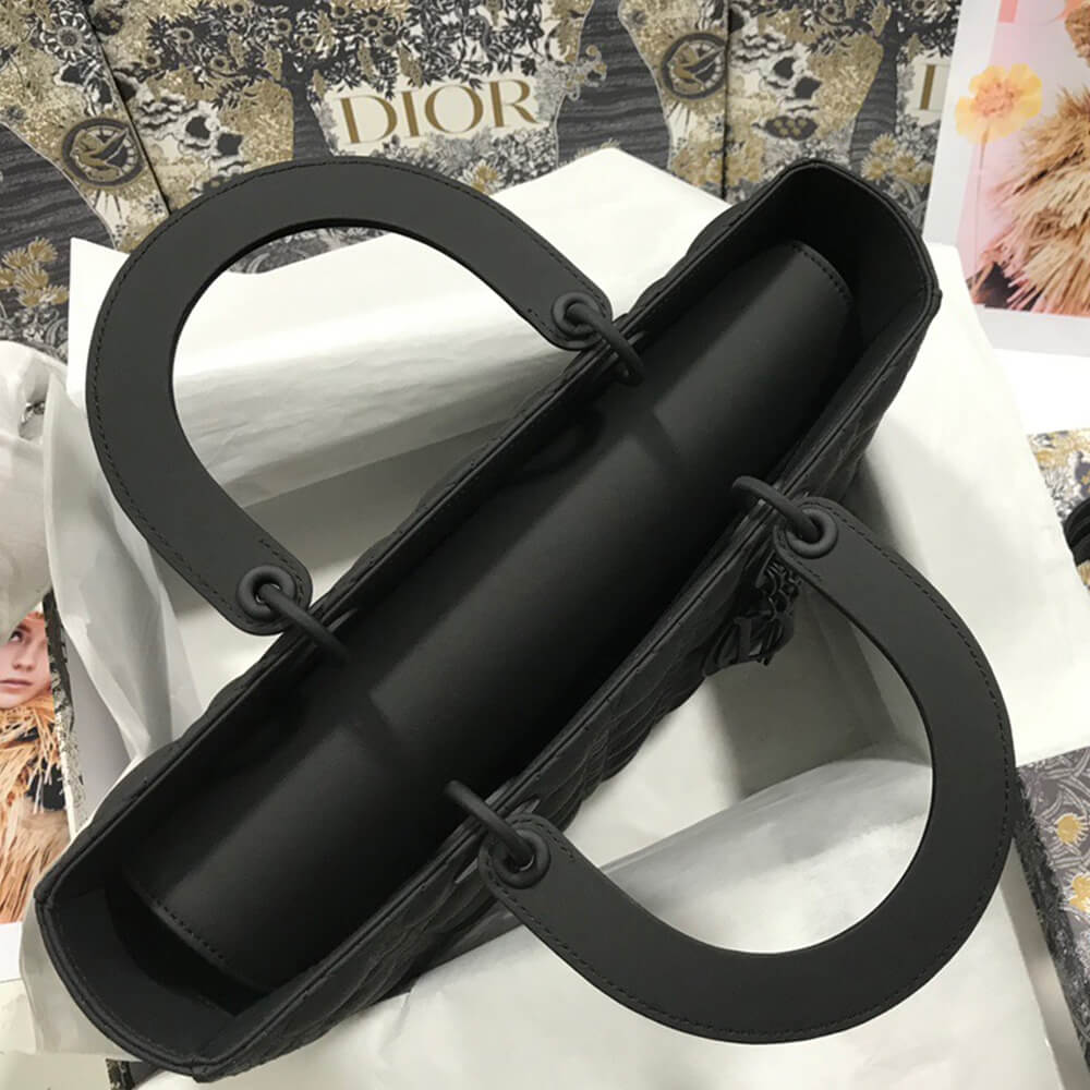 D10r LARGE LADY D10r BAG