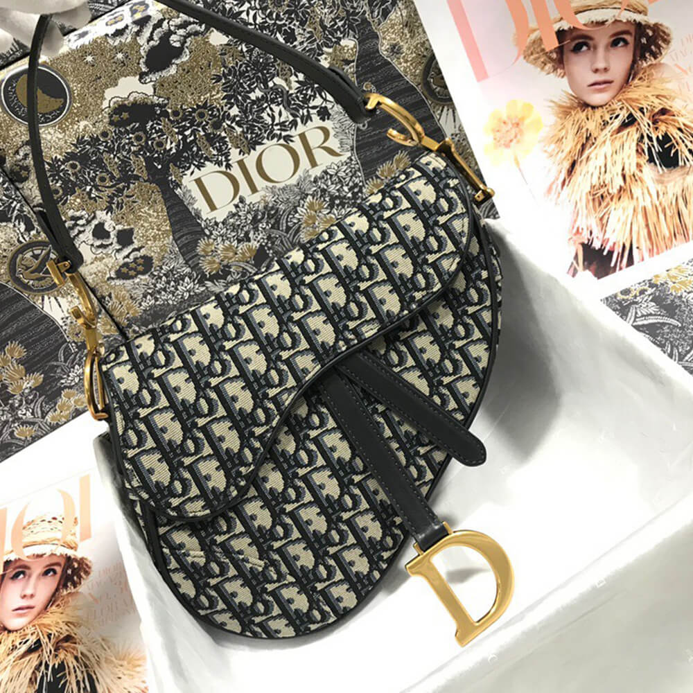 D10r SADDLE BAG
