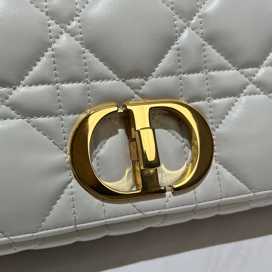 MEDIUM D10r CARO BAG