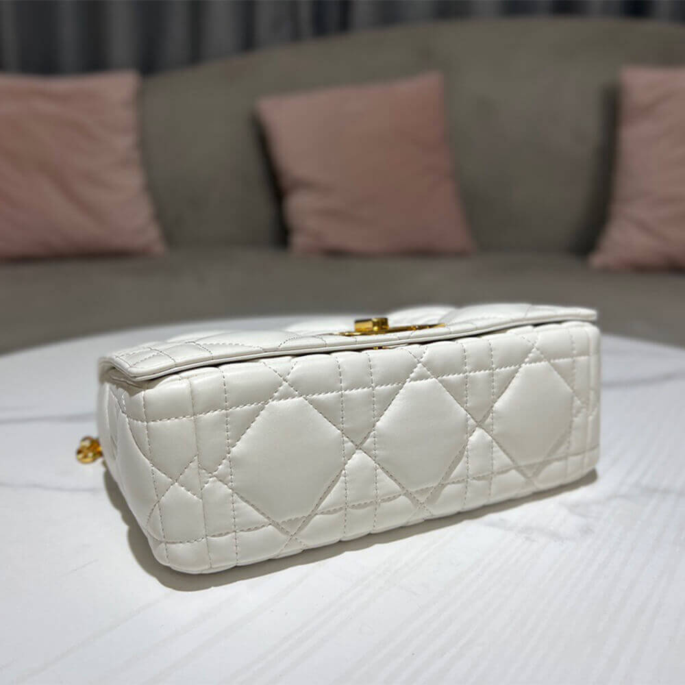 MEDIUM D10r CARO BAG