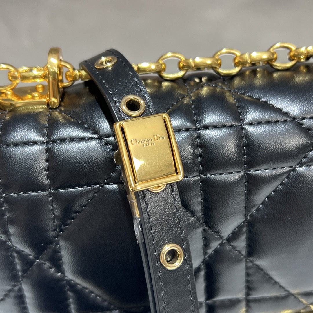 MEDIUM D10r CARO BAG