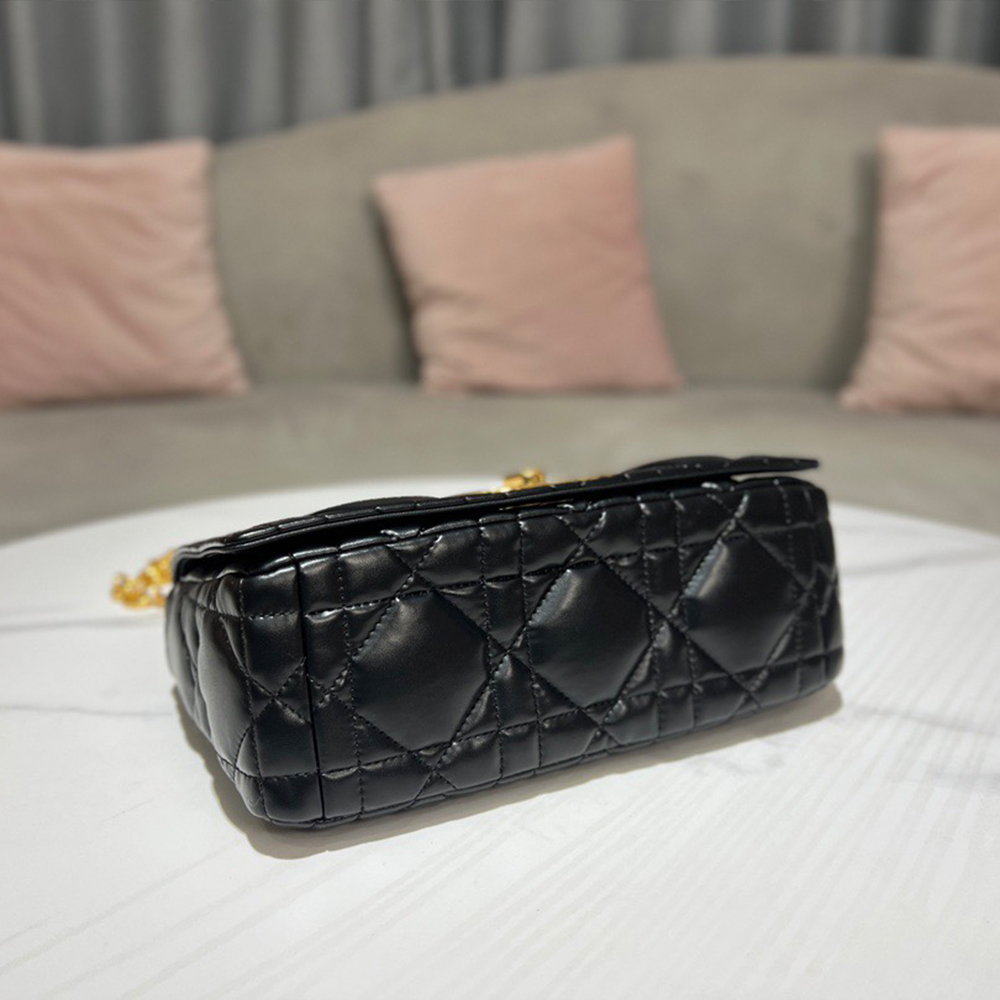 MEDIUM D10r CARO BAG