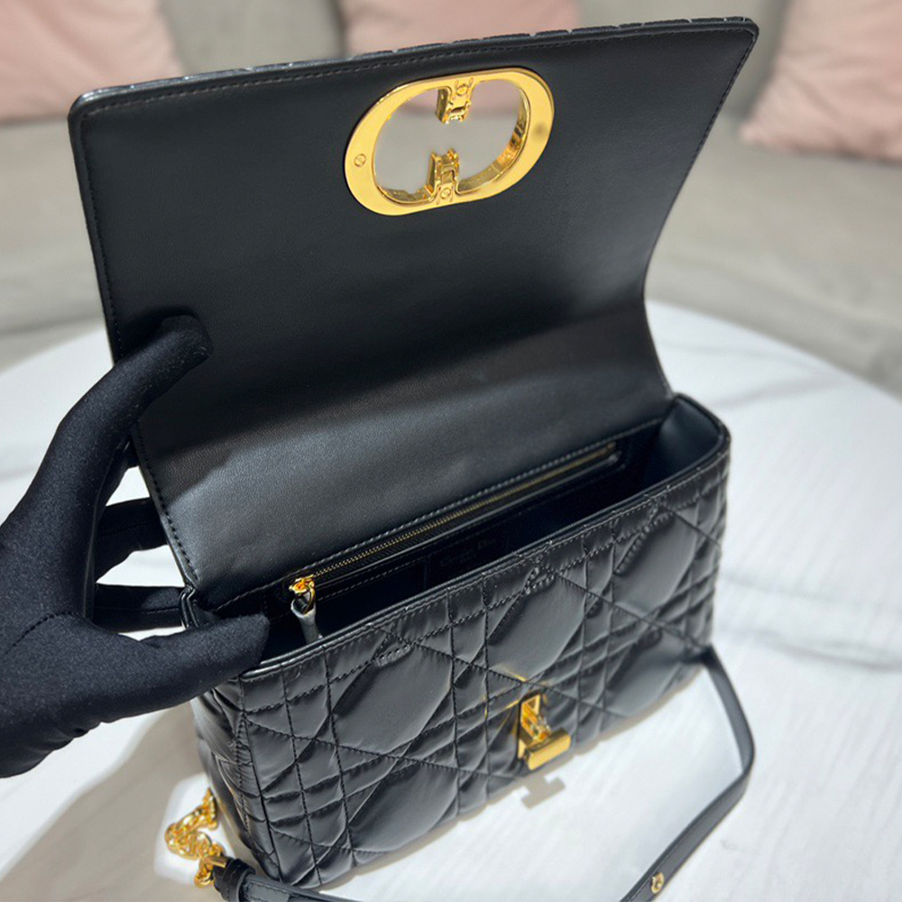 MEDIUM D10r CARO BAG