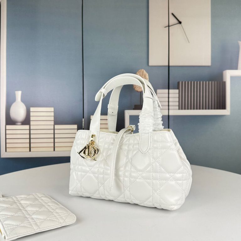 SMALL D10r TOUJOURS BAG