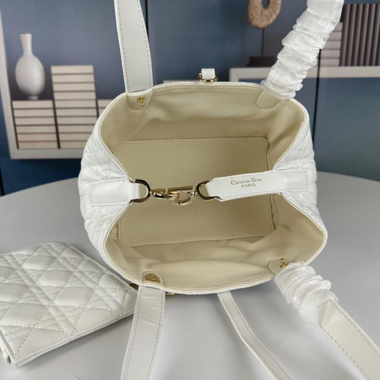 SMALL D10r TOUJOURS BAG