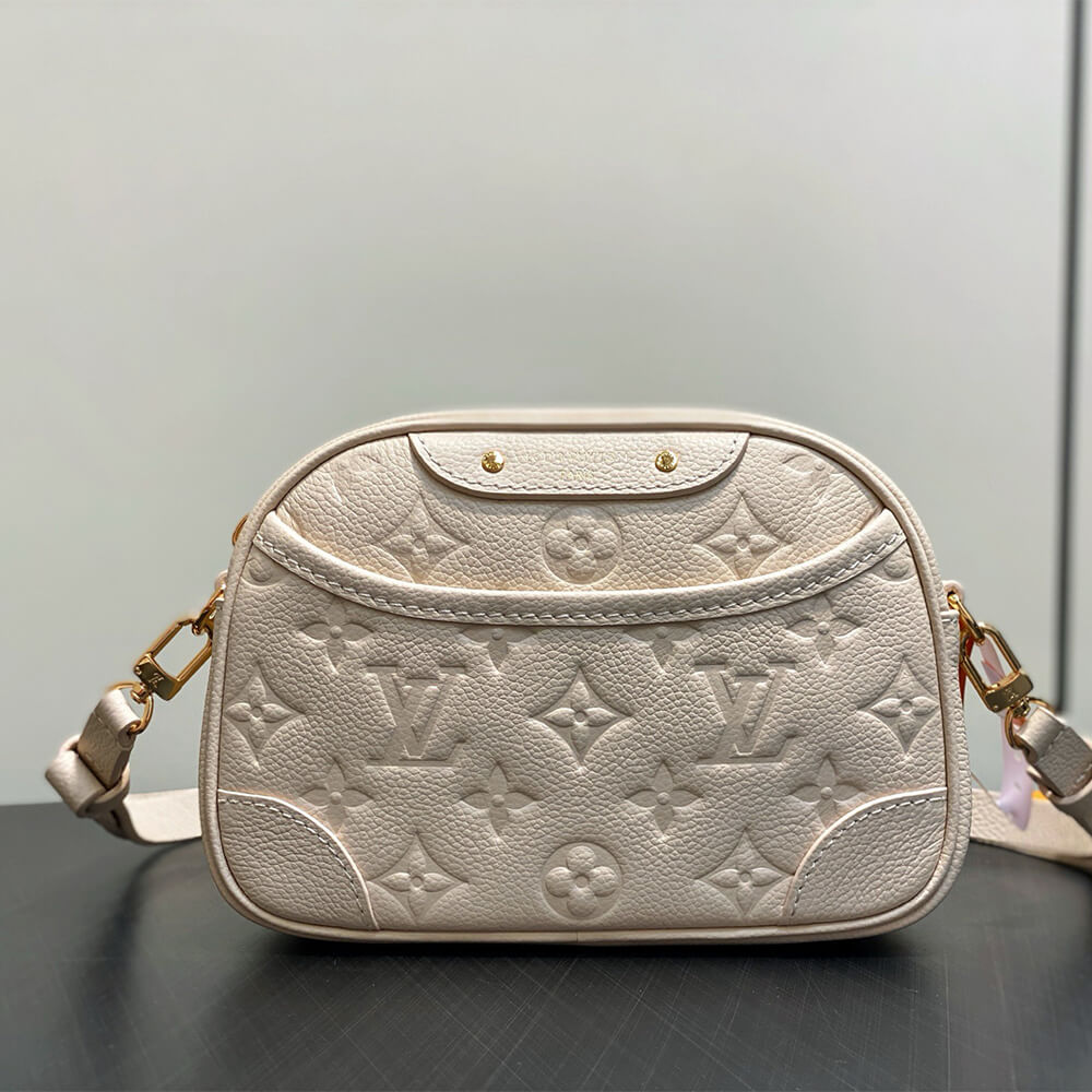 LV Tiny Camera Bag