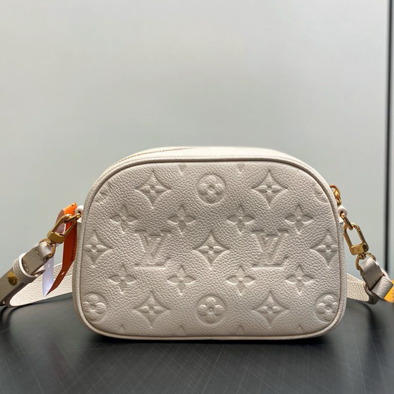 LV Tiny Camera Bag