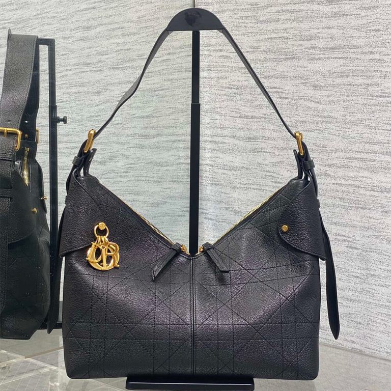 Medium D10r Voyage bag