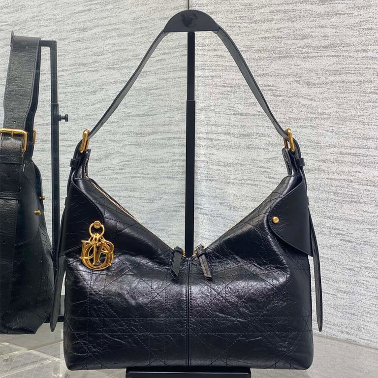 Medium D10r Voyage bag